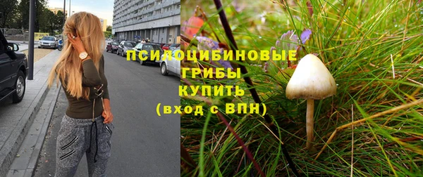 каннабис Каменка