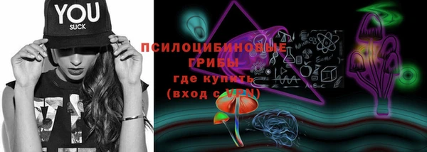 сатива Карталы