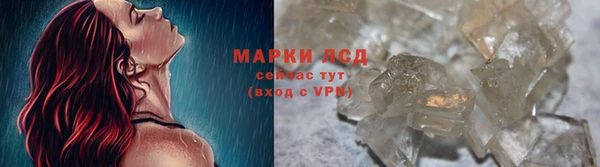 сатива Карталы