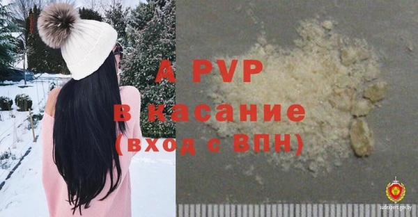 сатива Карталы